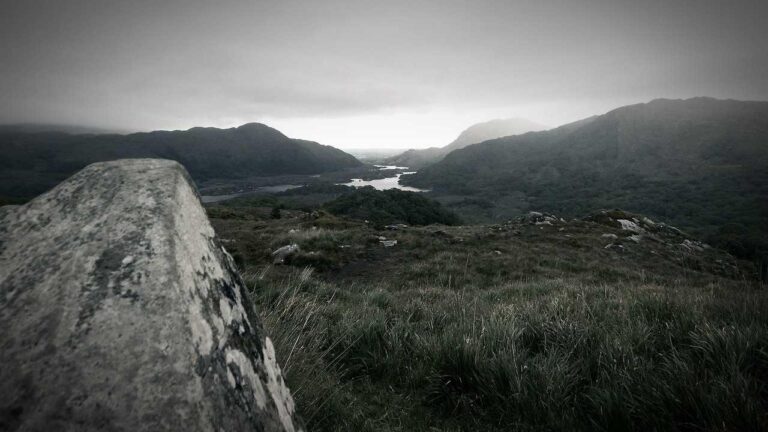 Is The 99Exch Pro App Available For Android And Ios?